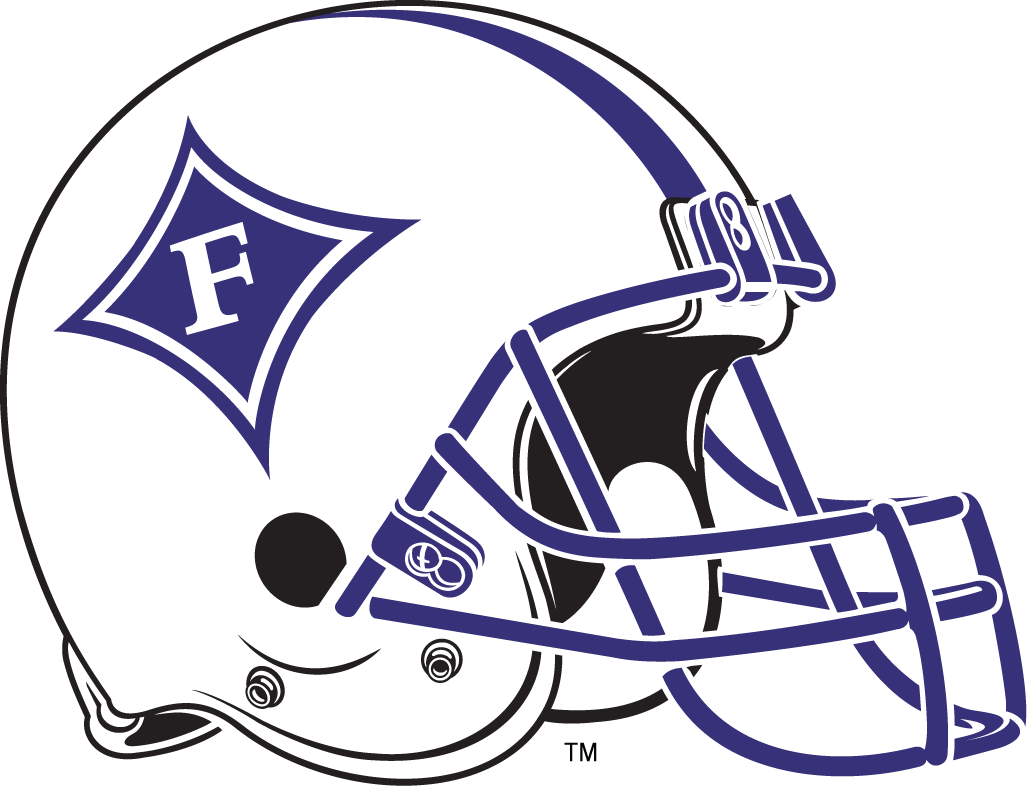 Furman Paladins 0-Pres Helmet Logo DIY iron on transfer (heat transfer)